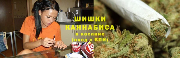 гашиш Богданович